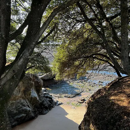 Le Bultoir بورنيك